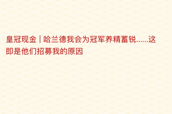 皇冠现金 | 哈兰德我会为冠军养精蓄锐......这即是他们招募我的原因