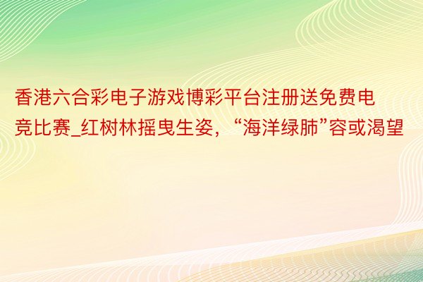 香港六合彩电子游戏博彩平台注册送免费电竞比赛_红树林摇曳生姿，“海洋绿肺”容或渴望